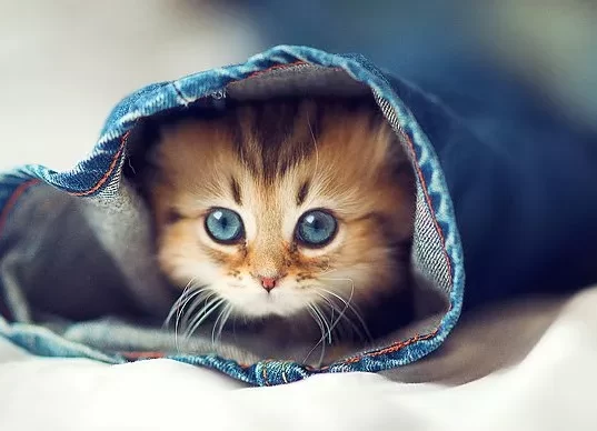 10 muhteşem ingilizce kelime